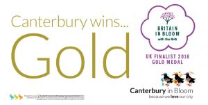 Canterbury wins... Gold - Britain in Bloom with the RHS - Canterbury in Bloom