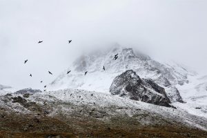A foggy frosty mountain, with birds circling it