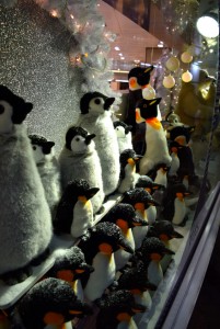 Penguins in a Fenwicks christmas window display