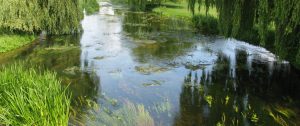 A photo of a stream