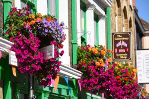Canterbury Flower Basket