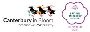 Canterbury in Bloom - because we love our city - Britain in Bloom with the RHS - Uk Finalist 2016 Gold Medal