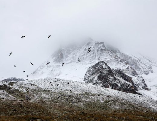 A foggy frosty mountain, with birds circling it