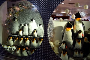 Penguins in a Fenwicks christmas window display