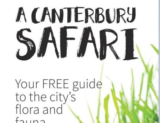 A Canterbury Safari - your FREE guide to the city's flora and fauna
