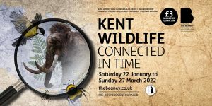 Kent wildlife - connected in time - Saturday 22 January to Sunday 27 March 2022