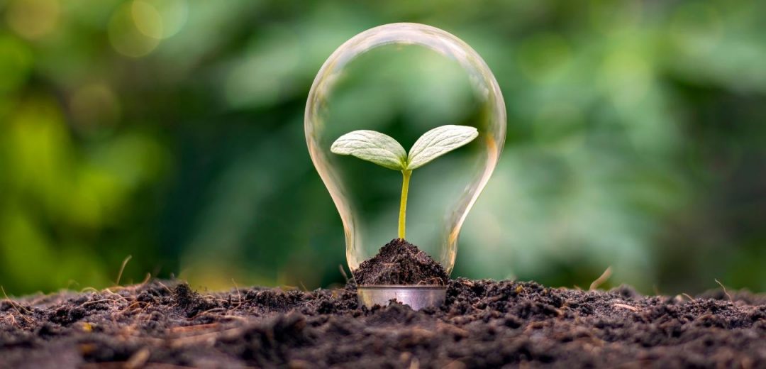 A photo of a lightbulb planted in the earth with a sprout growing inside of it