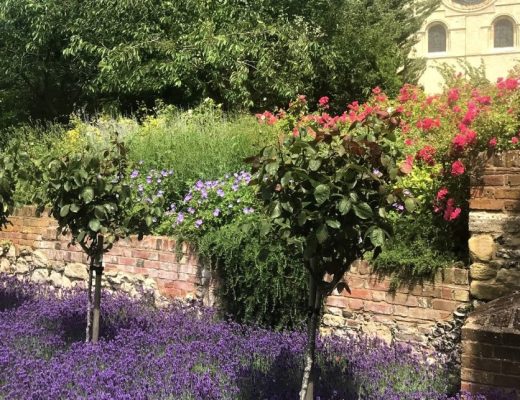 A photograph of Canterbury Cathedral's exterior in bloom