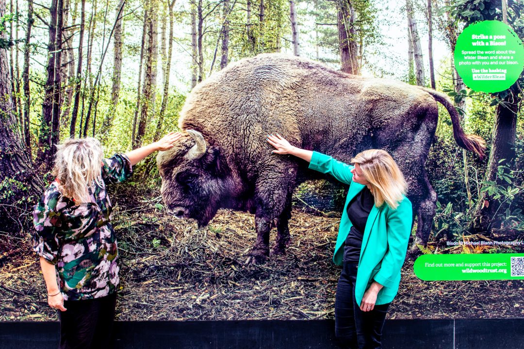A photo of two women looking at a large poster of a buffalo